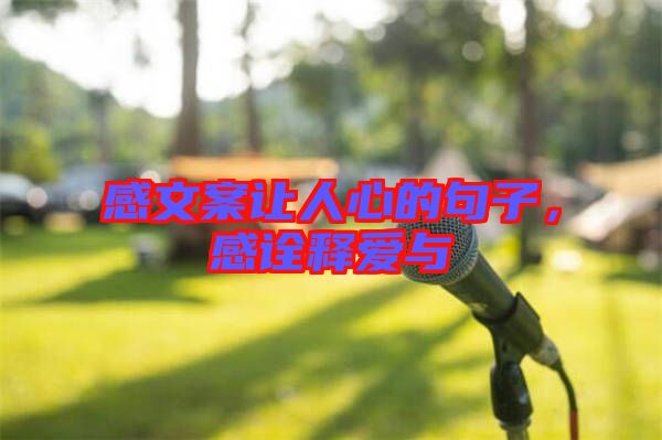 感文案讓人心的句子，感詮釋愛(ài)與