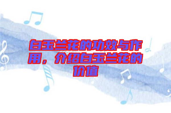 白玉蘭花的功效與作用，介紹白玉蘭花的價值