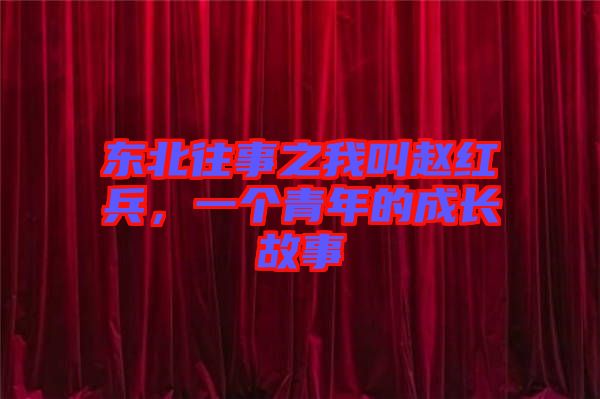 東北往事之我叫趙紅兵，一個青年的成長故事