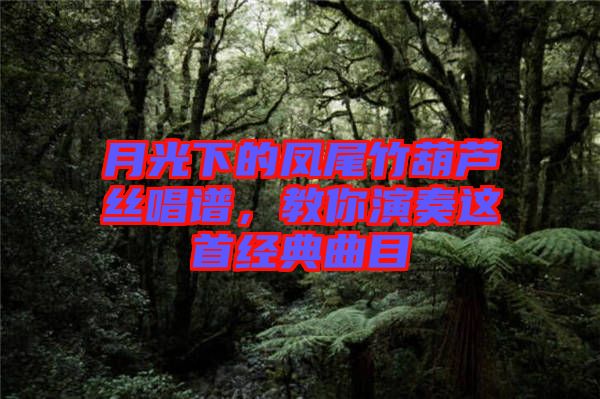 月光下的鳳尾竹葫蘆絲唱譜，教你演奏這首經(jīng)典曲目