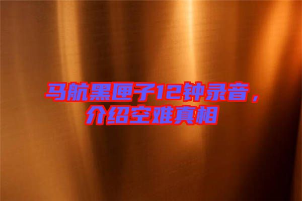 馬航黑匣子12鐘錄音，介紹空難真相