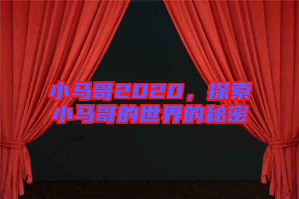 小馬哥2020，探索小馬哥的世界的秘密