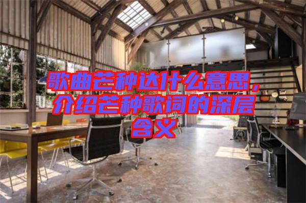歌曲芒種達(dá)什么意思，介紹芒種歌詞的深層含義
