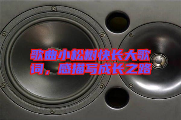 歌曲小松樹(shù)快長(zhǎng)大歌詞，感描寫(xiě)成長(zhǎng)之路