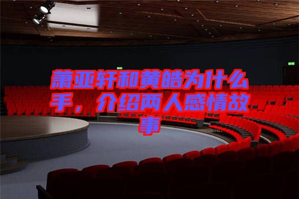 蕭亞軒和黃皓為什么手，介紹兩人感情故事