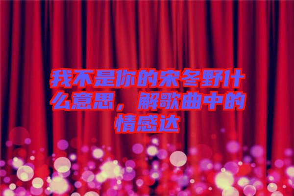 我不是你的宋冬野什么意思，解歌曲中的情感達(dá)