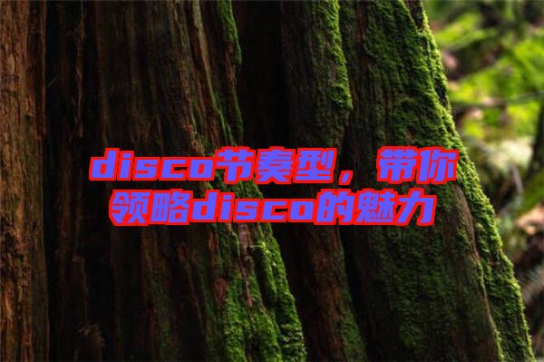 disco節(jié)奏型，帶你領(lǐng)略disco的魅力