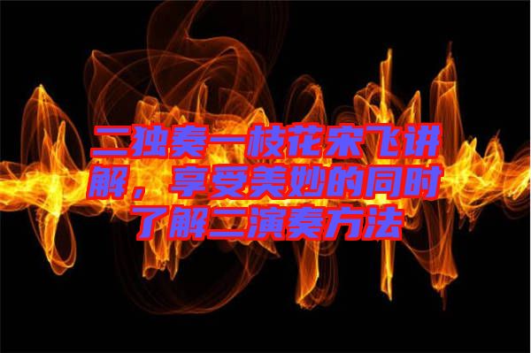 二獨奏一枝花宋飛講解，享受美妙的同時了解二演奏方法