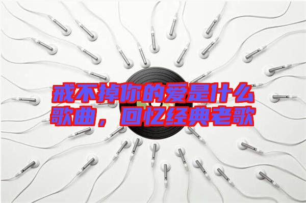 戒不掉你的愛是什么歌曲，回憶經(jīng)典老歌