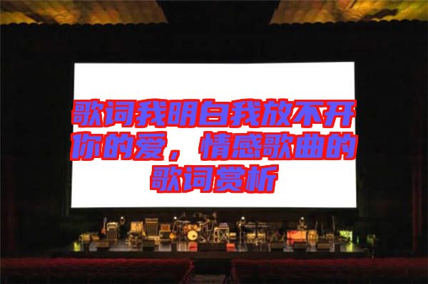 歌詞我明白我放不開你的愛，情感歌曲的歌詞賞析