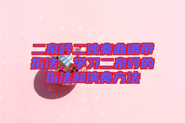 二泉吟二獨(dú)奏曲譜帶指法，學(xué)習(xí)二泉吟的指法和演奏方法