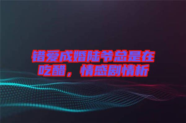 錯(cuò)愛成婚陸爺總是在吃醋，情感劇情析