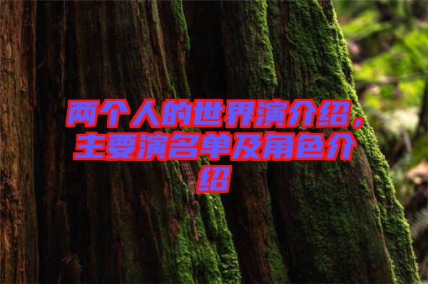 兩個(gè)人的世界演介紹，主要演名單及角色介紹