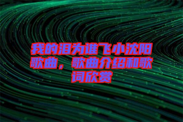 我的淚為誰(shuí)飛小沈陽(yáng)歌曲，歌曲介紹和歌詞欣賞