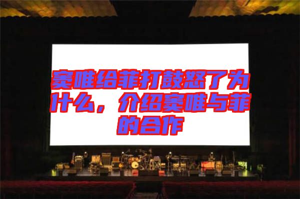 竇唯給菲打鼓怒了為什么，介紹竇唯與菲的合作