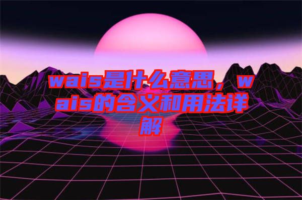 wais是什么意思，wais的含義和用法詳解