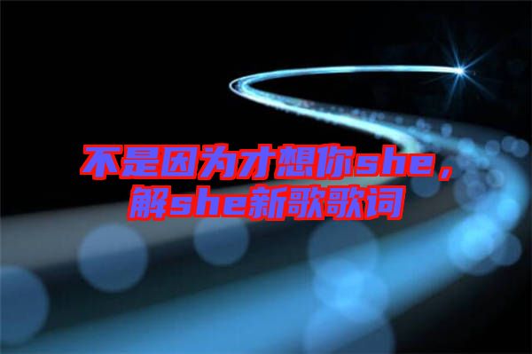 不是因?yàn)椴畔肽鉺he，解she新歌歌詞