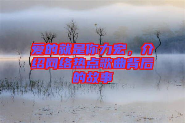 愛的就是你力宏，介紹網(wǎng)絡(luò)熱點歌曲背后的故事