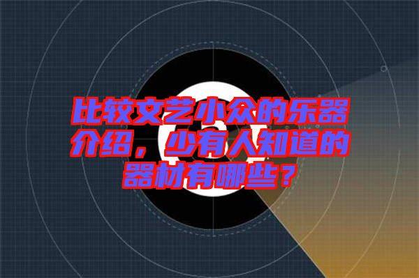 比較文藝小眾的樂(lè)器介紹，少有人知道的器材有哪些？