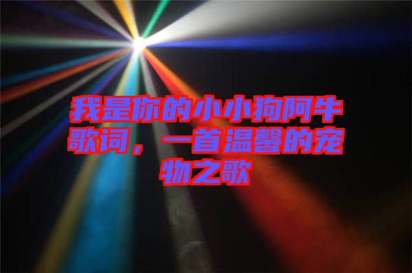 我是你的小小狗阿牛歌詞，一首溫馨的寵物之歌