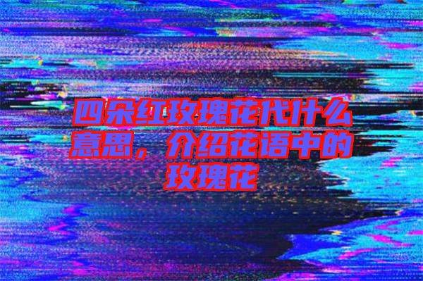 四朵紅玫瑰花代什么意思，介紹花語中的玫瑰花