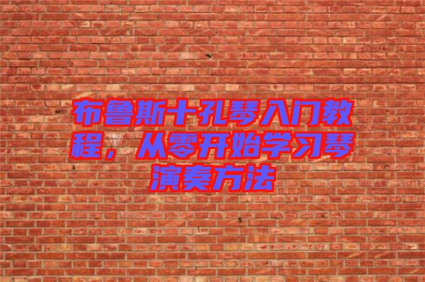 布魯斯十孔琴入門教程，從零開(kāi)始學(xué)習(xí)琴演奏方法