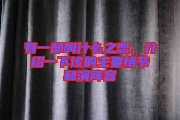 有一部叫什么之戀，介紹一下該的主要情節(jié)和演陣容