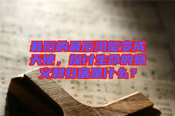 最后的最后渴望變成天使，探討生命的意義和歸宿是什么？