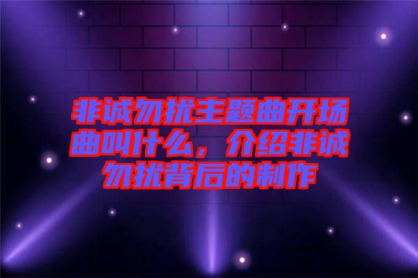 非誠(chéng)勿擾主題曲開(kāi)場(chǎng)曲叫什么，介紹非誠(chéng)勿擾背后的制作