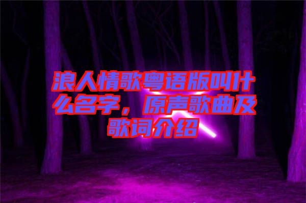 浪人情歌粵語版叫什么名字，原聲歌曲及歌詞介紹