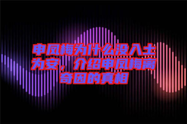 申鳳梅為什么沒入土為安，介紹申鳳梅離奇因的真相