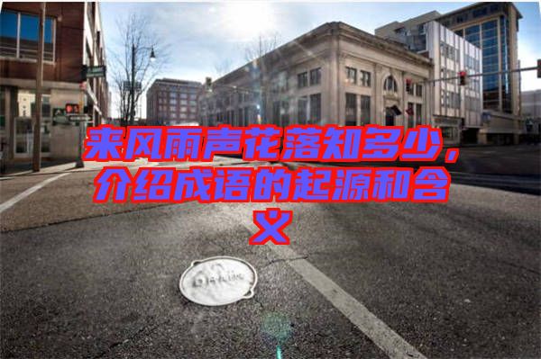 來(lái)風(fēng)雨聲花落知多少，介紹成語(yǔ)的起源和含義