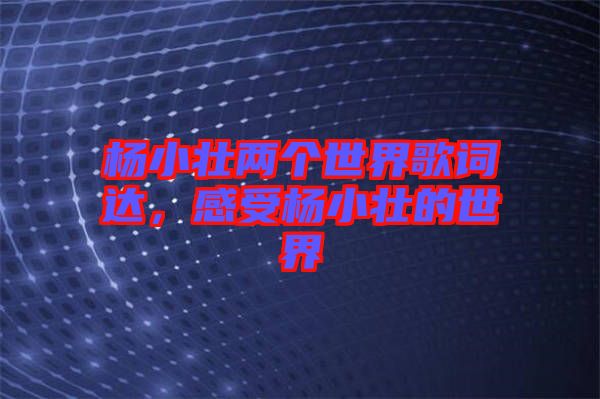 楊小壯兩個(gè)世界歌詞達(dá)，感受楊小壯的世界