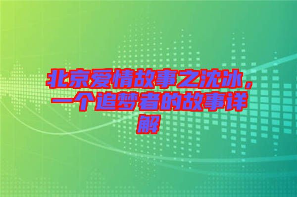北京愛情故事之沈冰，一個(gè)追夢者的故事詳解