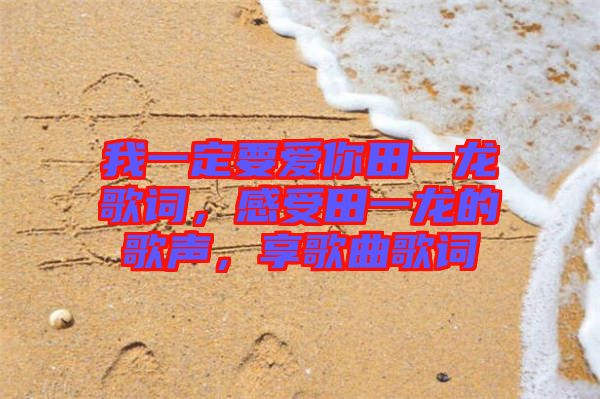我一定要愛你田一龍歌詞，感受田一龍的歌聲，享歌曲歌詞