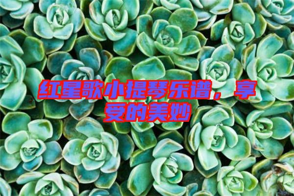 紅星歌小提琴樂(lè)譜，享受的美妙