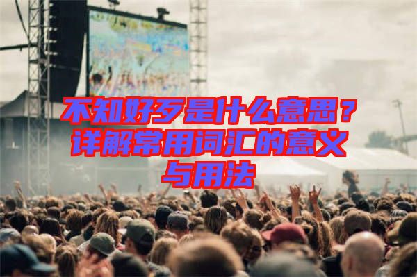 不知好歹是什么意思？詳解常用詞匯的意義與用法