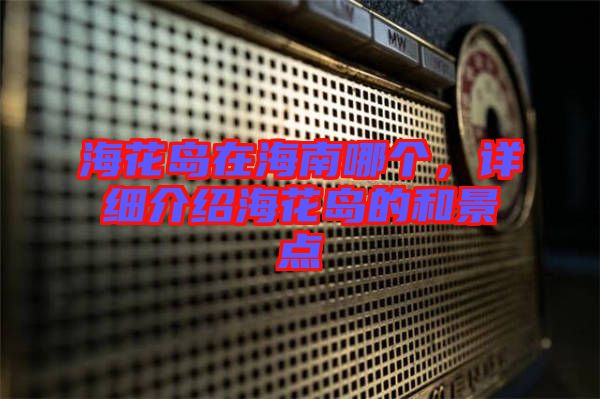 ?；◢u在海南哪個，詳細介紹?；◢u的和景點