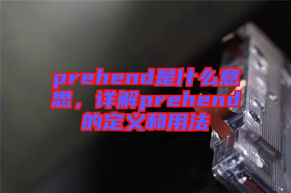 prehend是什么意思，詳解prehend的定義和用法