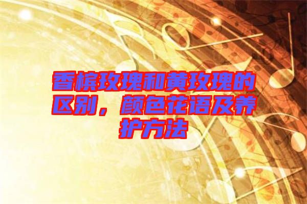 香檳玫瑰和黃玫瑰的區(qū)別，顏色花語(yǔ)及養(yǎng)護(hù)方法