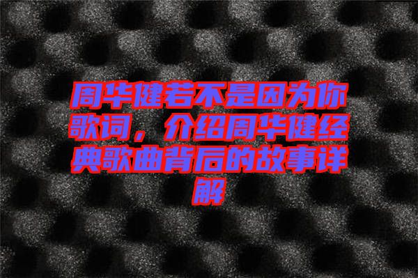 周華健若不是因?yàn)槟愀柙~，介紹周華健經(jīng)典歌曲背后的故事詳解