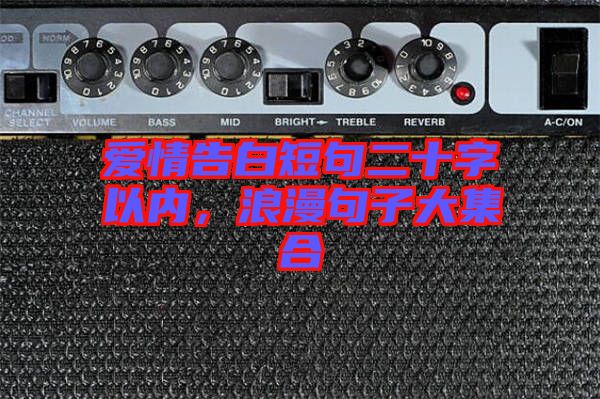 愛情告白短句二十字以內(nèi)，浪漫句子大集合