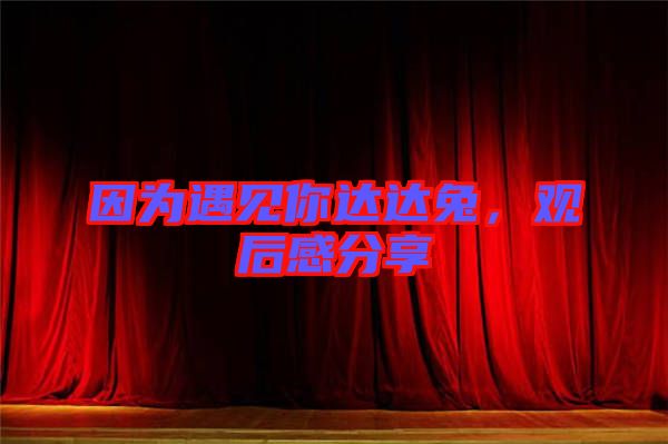 因為遇見你達達兔，觀后感分享