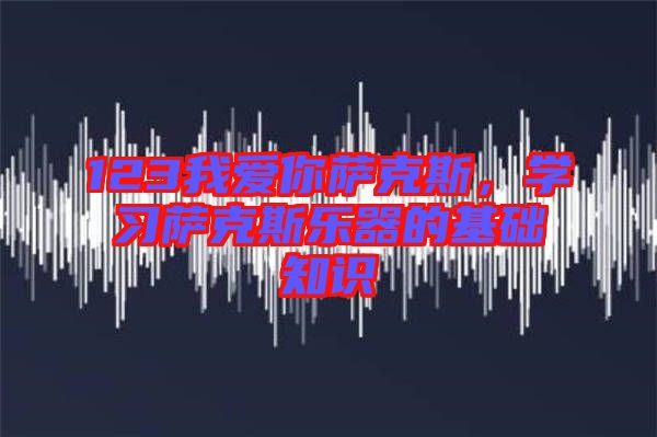 123我愛你薩克斯，學(xué)習(xí)薩克斯樂器的基礎(chǔ)知識