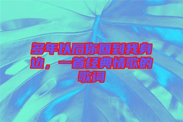 多年以后你回到我身邊，一首經(jīng)典情歌的歌詞