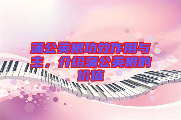 蒲公英根功效作用與主，介紹蒲公英根的價值