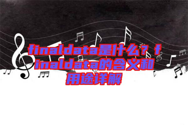 finaldata是什么？finaldata的含義和用途詳解