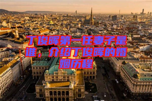 丁俊暉第一任妻子是誰，介紹丁俊暉的婚姻歷程