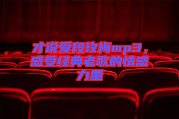 才說愛段玫梅mp3，感受經(jīng)典老歌的情感力量
