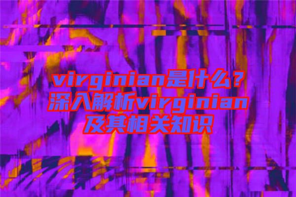 virginian是什么？深入解析virginian及其相關(guān)知識